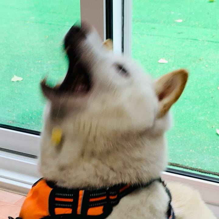 C0efaf9d 8e1c 4ac3 941d 069ae7ec3c33 1665404880164