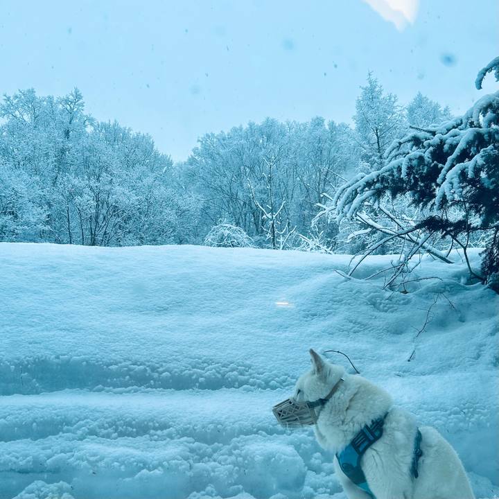 C0efc04e b54b 4523 85ea 977d3eef0322 1772663849796