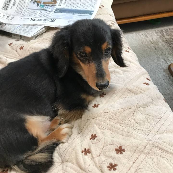 C0eff261 85cb 485d 8555 9c4b1da25774 1511302932193