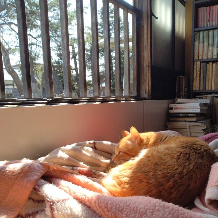 C0f02833 0f4d 4307 8734 8ee4a016432a 1680078115183