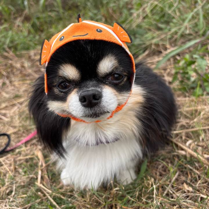 C0f05370 0568 4990 9acb da102f24ad0d 1763116636488