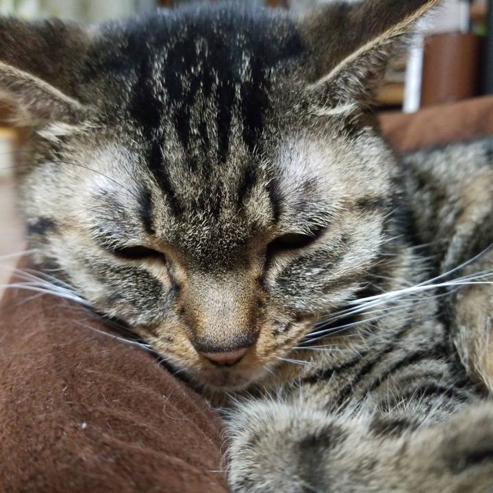 C0f063b9 0e7b 43da a796 68f764104619 1572694724260