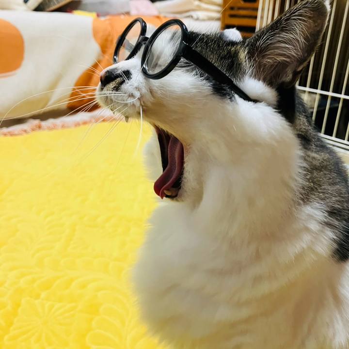 C0f0aaaf 1006 4cb7 bc59 20e3faeffb24 1738409571198