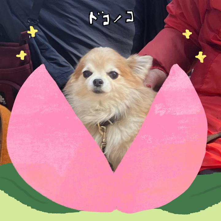 C0f0ba39 9c15 42e5 91e9 8494235f338b 1771830733664