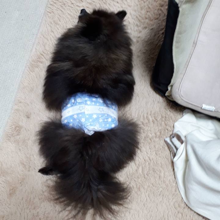 C0f0d1e7 7b6c 42c4 8a33 6af4eb47f239 1522097821838