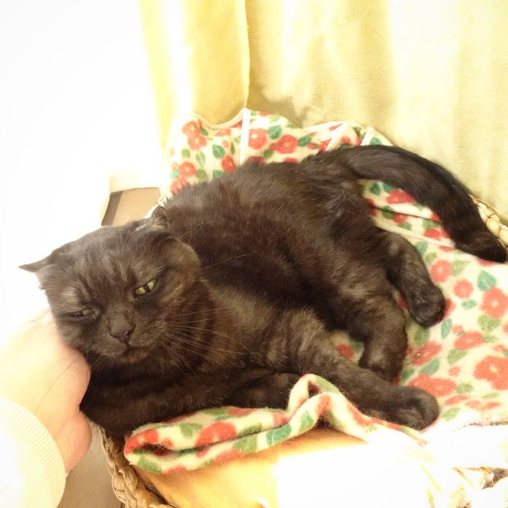 C0f0e37f e6aa 45cf 9415 34d2969089b4 1586850030887