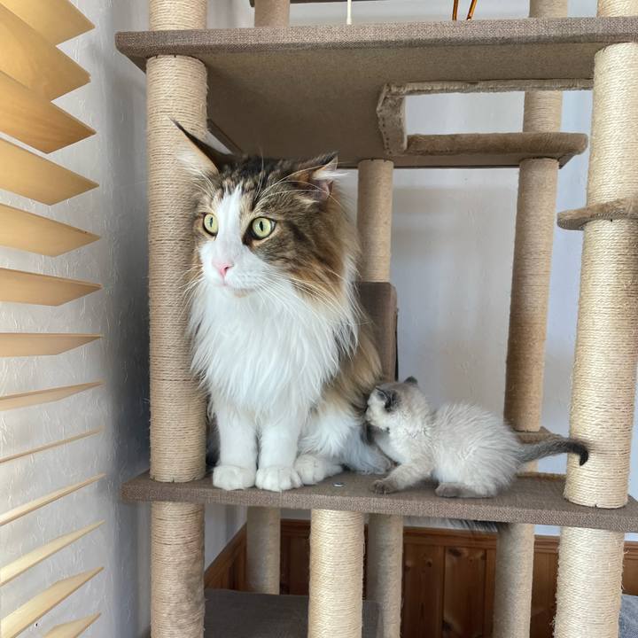 C0f0fc71 8229 40bb 8105 765543518bed 1685606250988