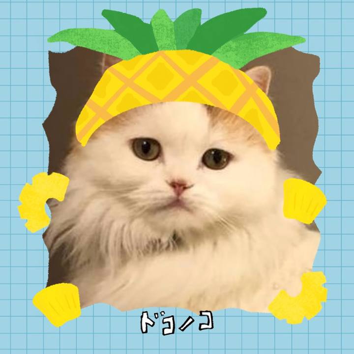 C0f0fd3f 4c96 4794 a408 c1aa8b84e044 1783340306918