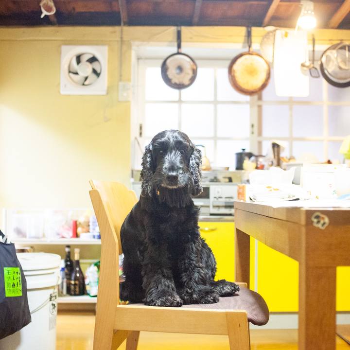 C0f0fd97 df37 4eb9 91dd 34c2fa83bcfc 1572749946545