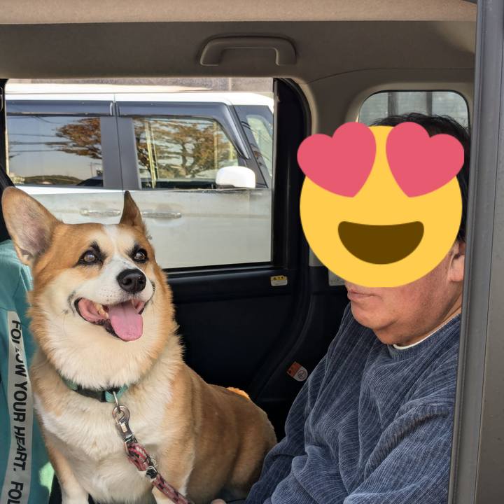 C0f10e61 8bcb 4fd4 8565 e78ff8f71ae9 1766425487058