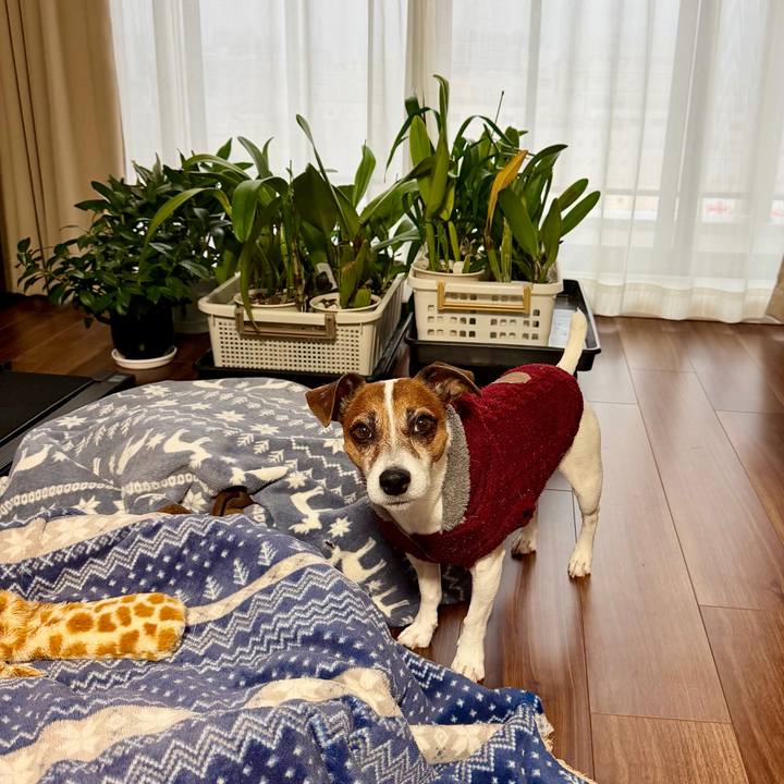 C0f1436a 81a2 4bc2 af1b 658f0b048c2b 1770939373762