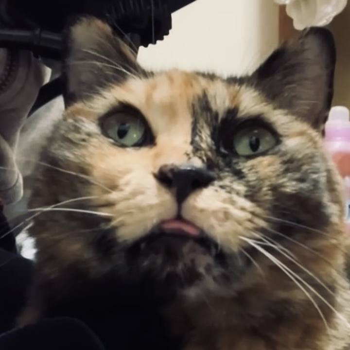 C0f14d2f 43e1 45a8 aafe ba0cabd13dfa 1732937405765