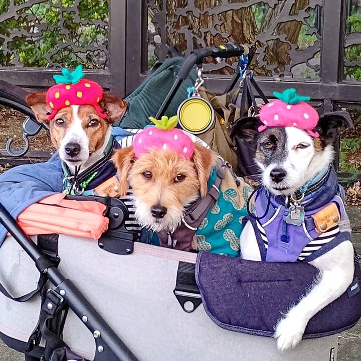 C0f155ee 9d9a 4e6f be08 4e3ad01dc26b 1697278772246