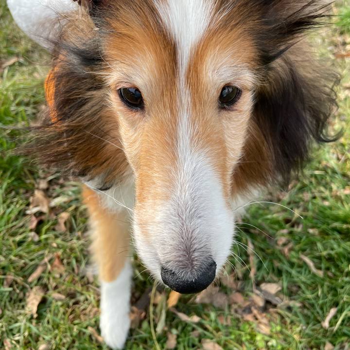 C0f16985 9e68 4ced 87b0 b5bf4a035472 1638266548191