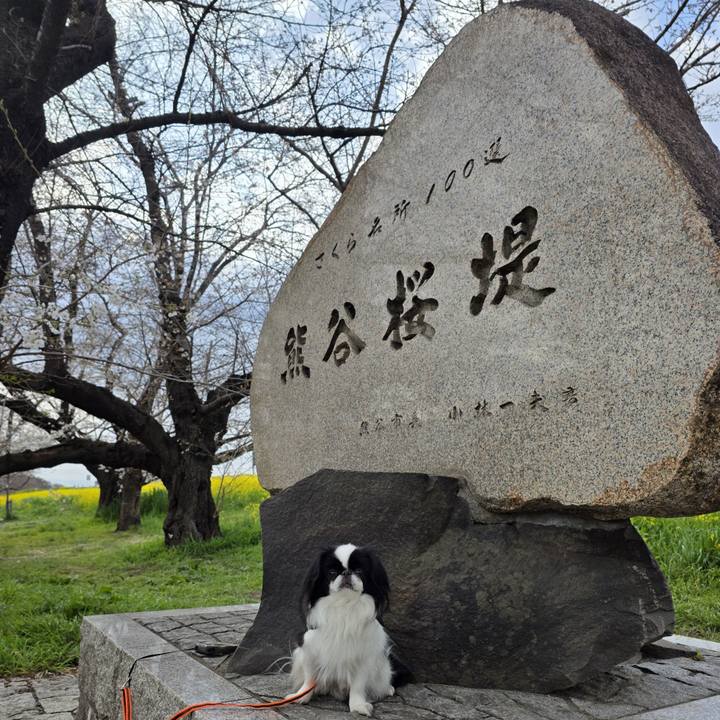 C0f177d5 cf15 4b9c 9750 ed4cd74a6ddf 1743410003961