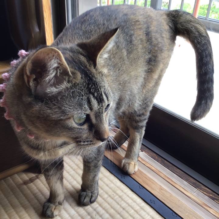 C0f18149 44b7 4c3d a00b 9157adbf960d 1589952832832