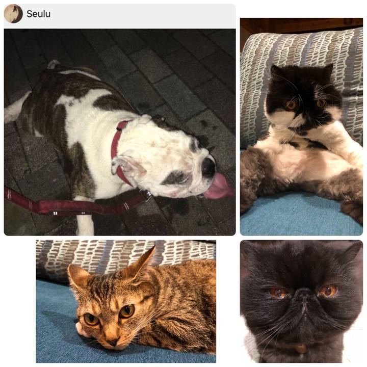 C0f1f321 2a0f 4349 b5b5 f9d8bdde7d96 1596599121100