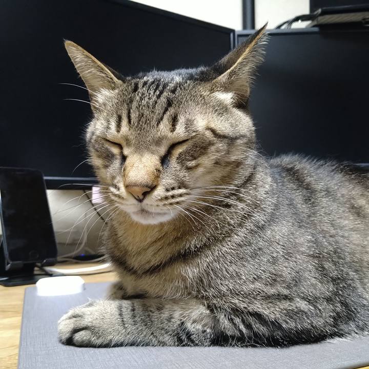 C0f2052c 886c 41ab bd6c db09ee795618 1699952018268