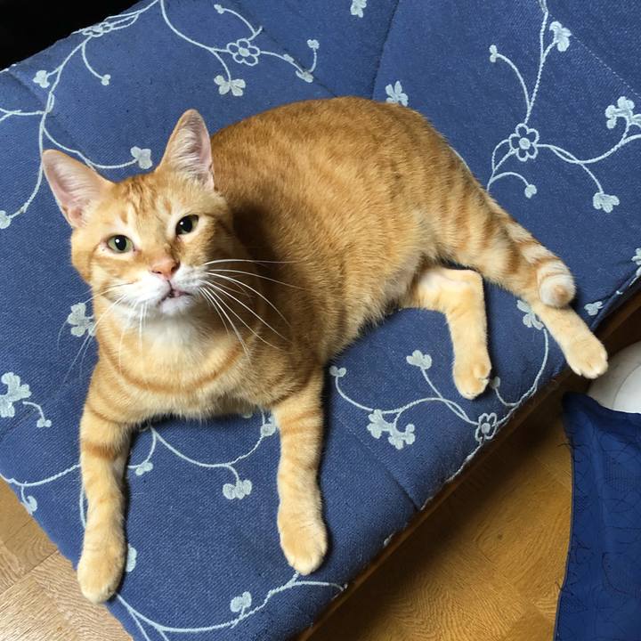 C0f23a72 e0d7 4500 8f20 85bc1c651be9 1570108665501