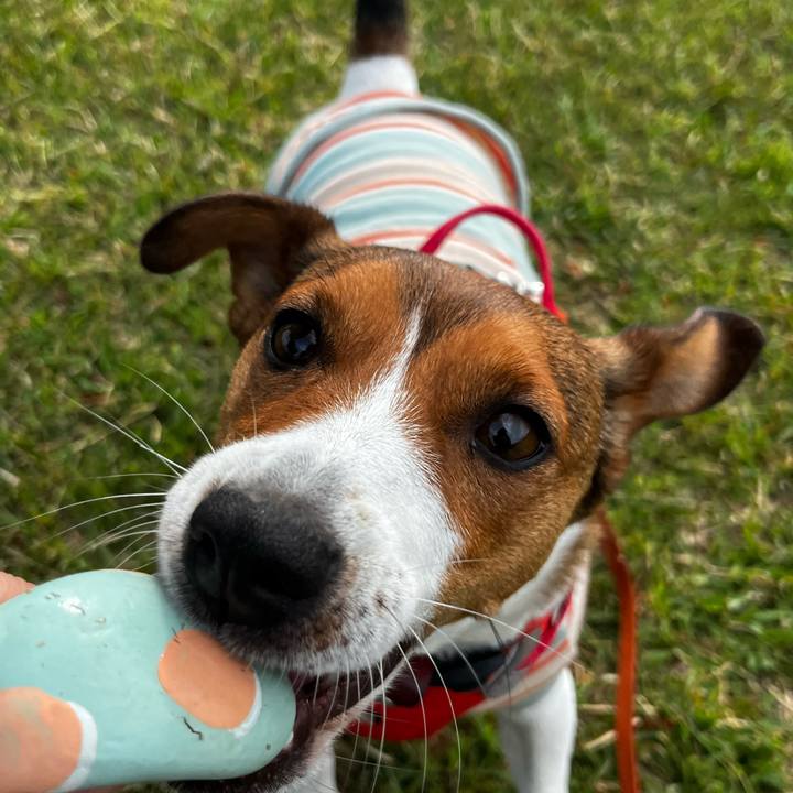 C0f246f9 f44c 4b25 af53 476d094b29d2 1746614132489