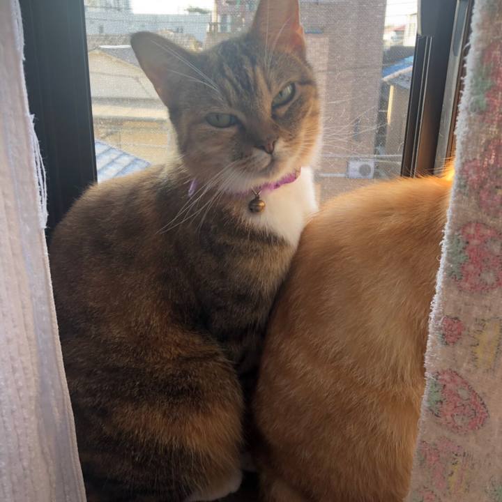 C0f24c4b 0ebc 4082 afe0 21a824ef07f7 1570173900800