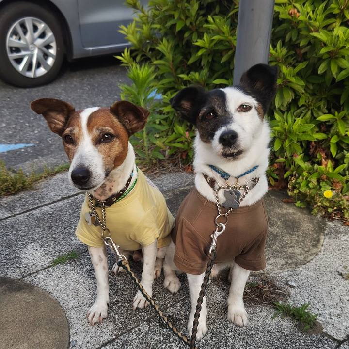 C0f27985 d8ce 4fb9 82a4 efea8e9a2fd9 1747259454285