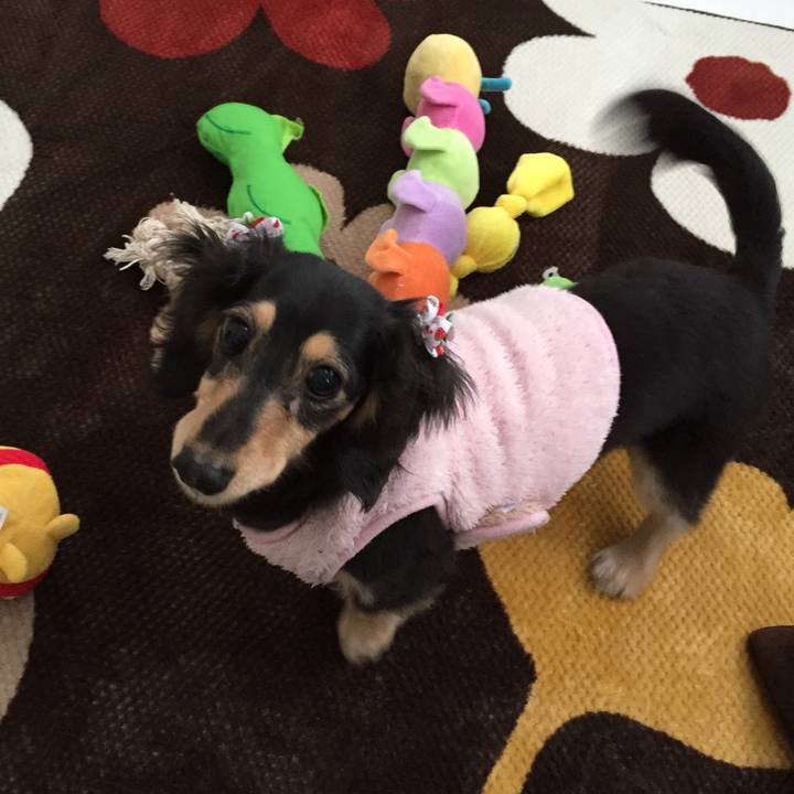 C0f2e56e 0a82 40fd 8b08 38480af28b35 1517793736928