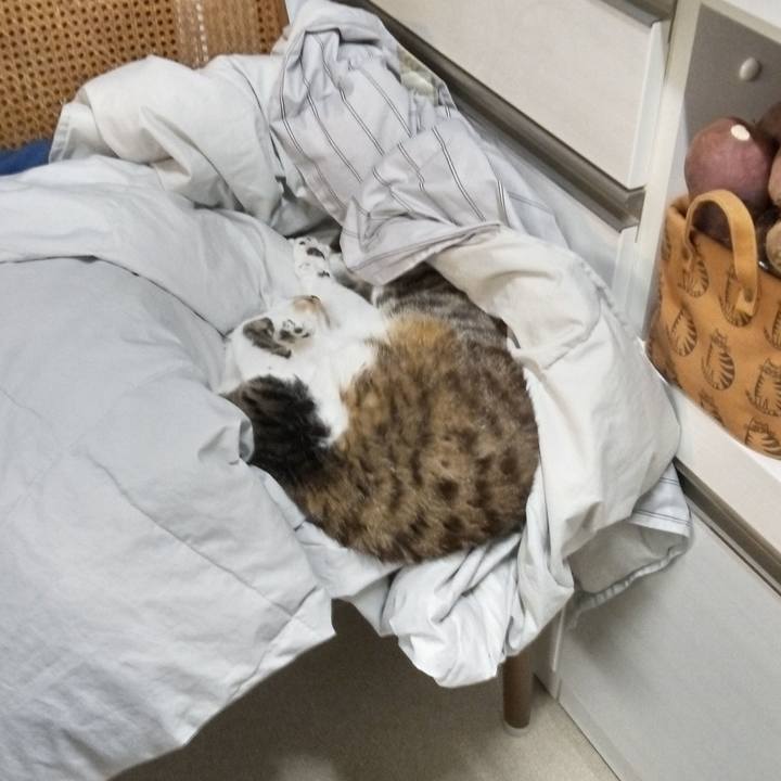 C0f2f40f c8d6 4f61 97a8 4ea3a2a94523 1762468288078