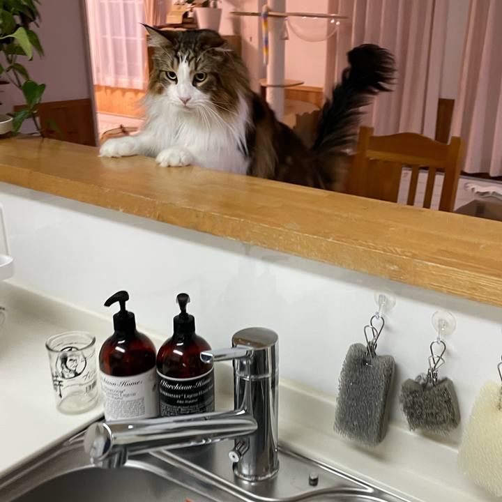 C0f3127d 4e5c 4418 8ee5 82b27966fcb6 1715197888987