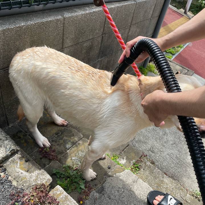 C0f33a60 332e 4bcd 9d5d a83fbefaa1e3 1683434208052