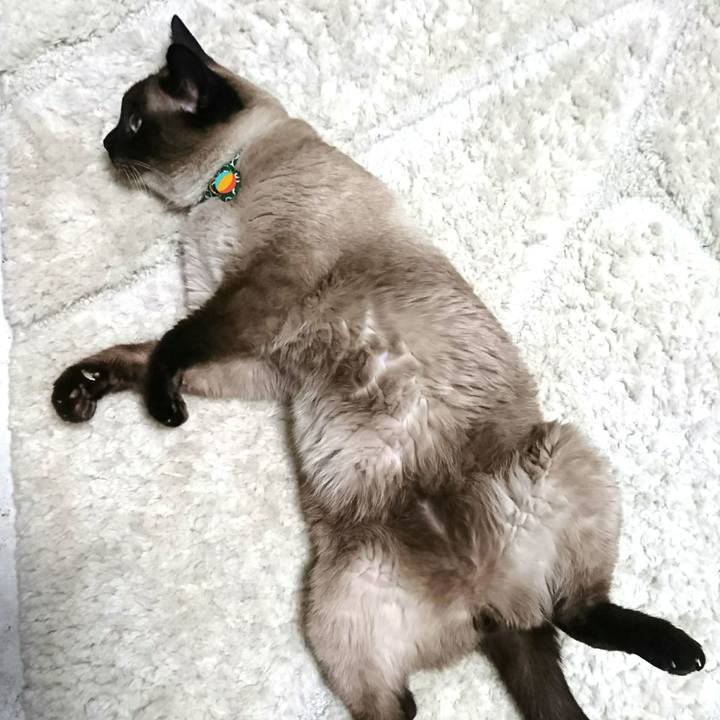 C0f368ce 0a16 4fac 8ee7 19aa2e8b3172 1525987309752