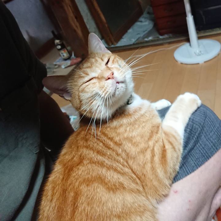 C0f376e8 306a 4d0c 9f9d 3c1f629c4f6b 1597005737412