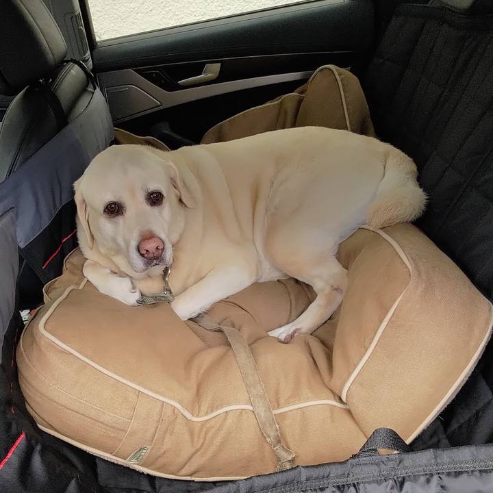 C0f39200 d381 4232 aa95 19f6667ffded 1717039674080