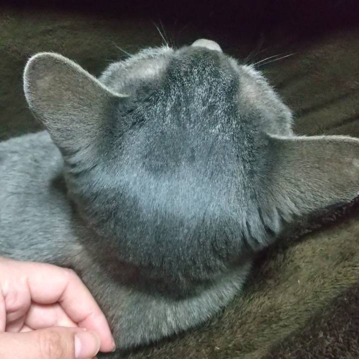 C0f3d713 7a2a 45e1 9690 683586c99d07 1675765414678