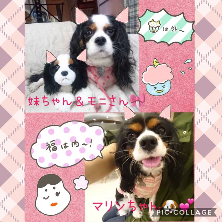 C0f3e1b9 2f95 4d2a 869d b1c50e22fb98 1549200876467