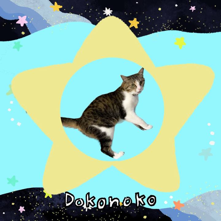 C0f3fea7 5658 4ce3 a4ab 9c1d26c5974d 1721349456301