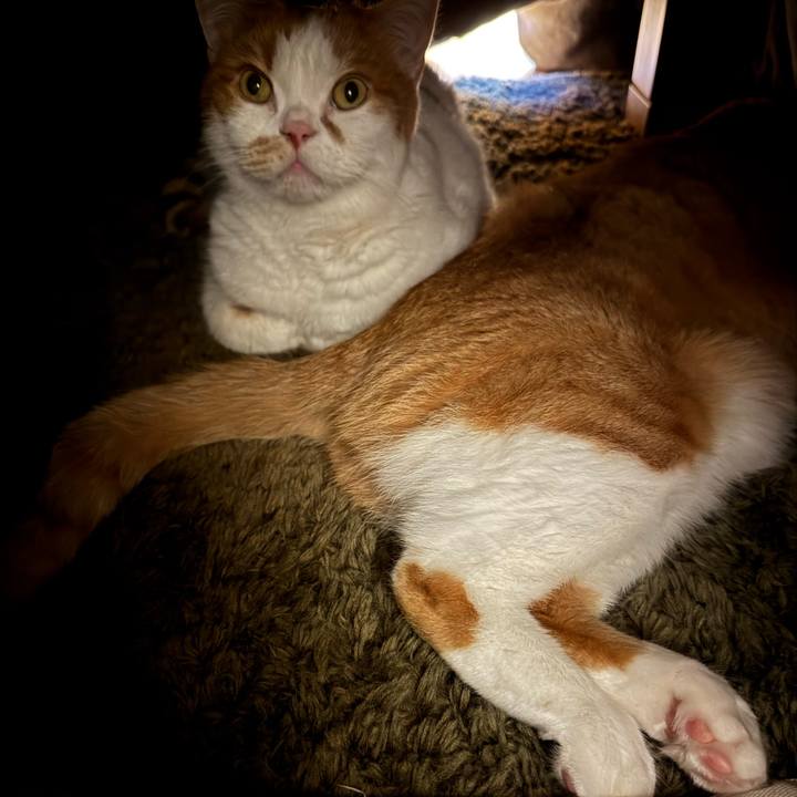 C0f4ba41 29ce 4427 80b0 8bd857361c30 1764077380498