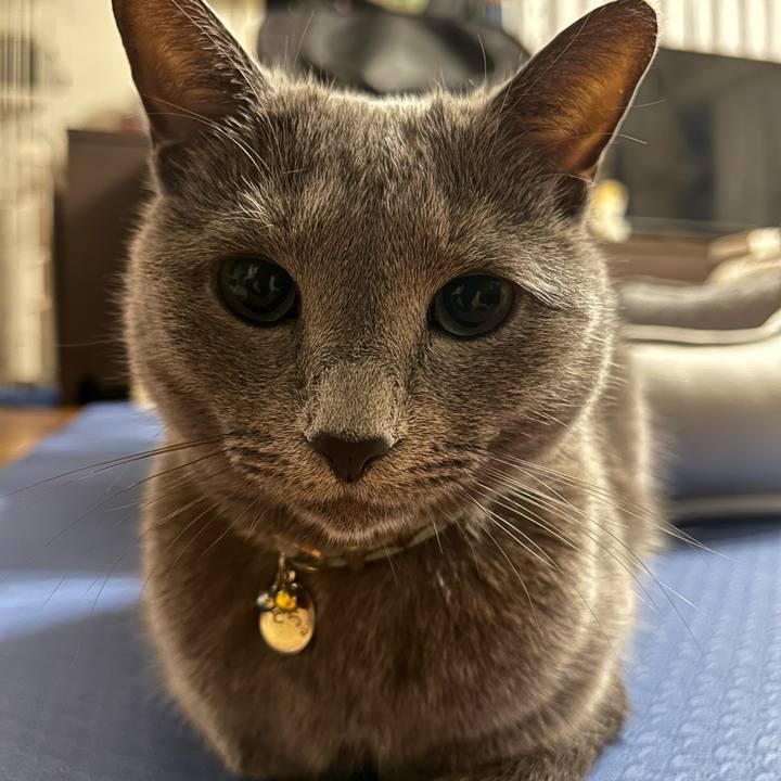 C0f4c3c9 503f 42b6 abd7 82c138abe7c1 1713491817571