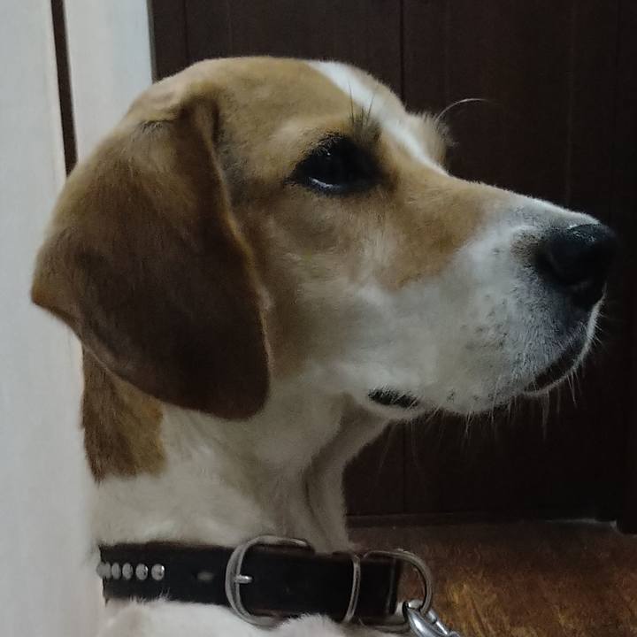 C0f4d3f0 82cb 4389 8e66 8f3c4a0cdbb8 1634828363828