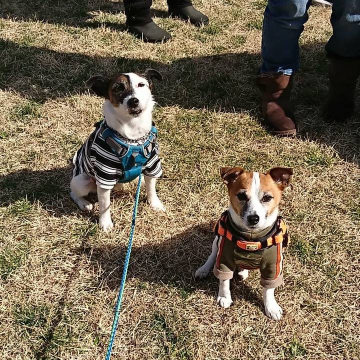 C0f4eca2 fefd 42f9 9ea1 486501275f25 1582423642243