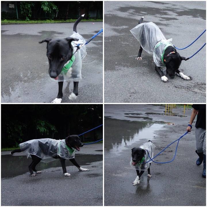 C0f4f774 bb02 4c2f abdd 5bea1defddf6 1595674288345