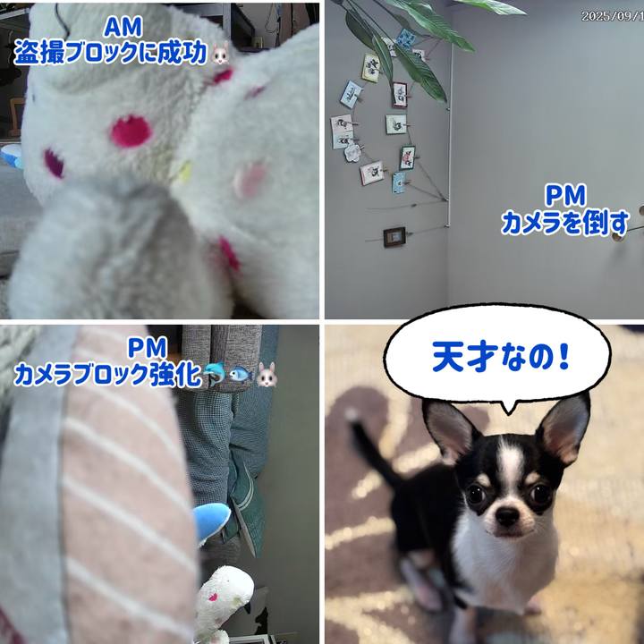 C0f51bd4 4659 4d38 a217 9fa14f77a0c9 1758192512350