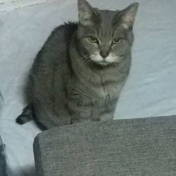 C0f5480b a02f 4827 a614 60f572b9b3d1 1673213805263