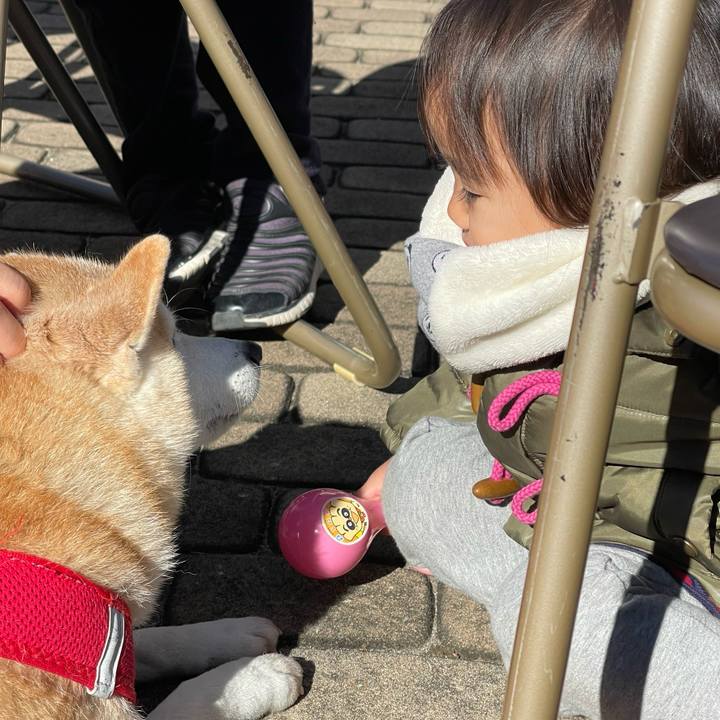 C0f54cec 266e 486b 9a1c 74d28fed8d5a 1734380127580