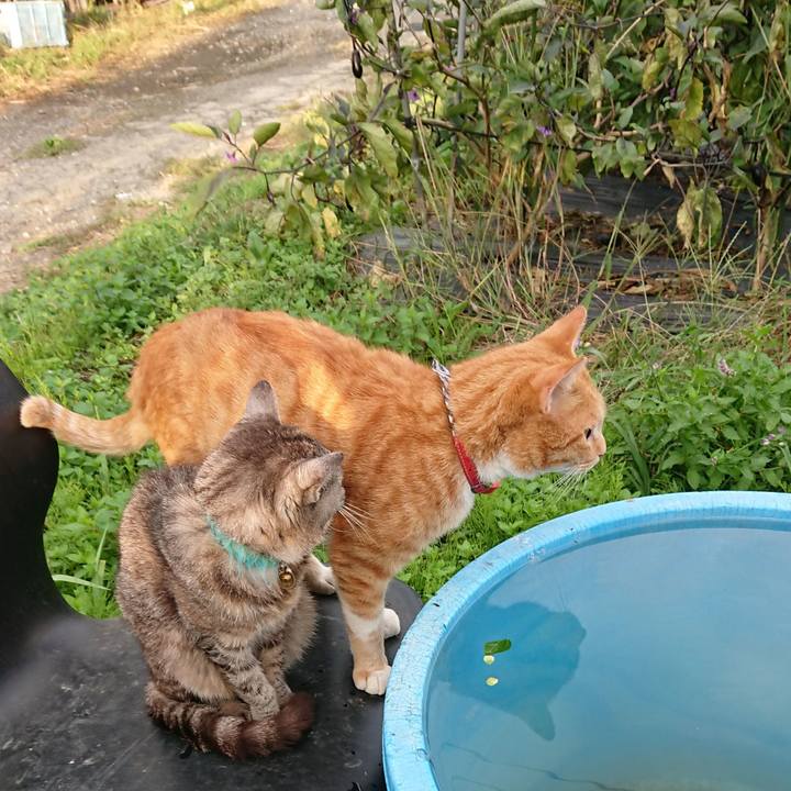 C0f5958e 5593 4d5d 9acc 45ab95072108 1570262750201