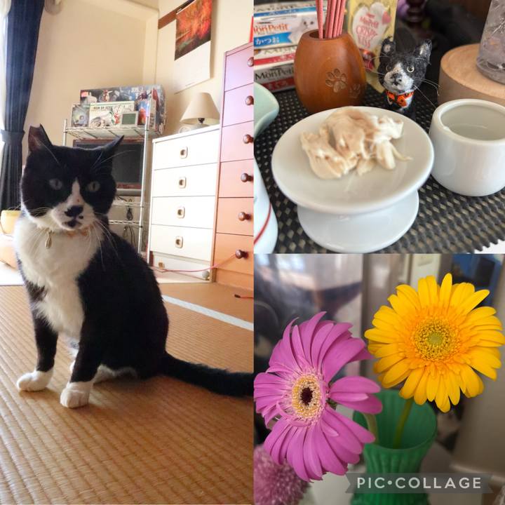 C0f5bba5 e8eb 4c2b 8d4c 08c1b23dbdd1 1753054855978