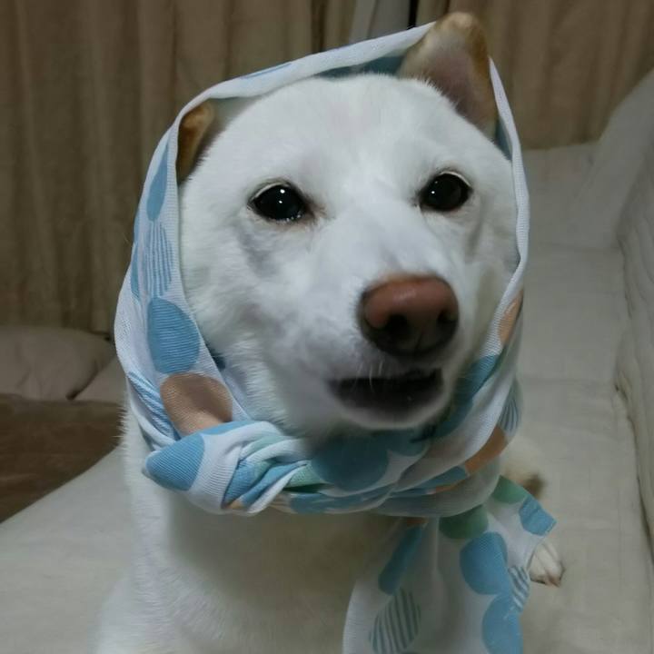 C0f5c057 f7b9 4af2 b8ed 57427f67bf7f 1535455533534