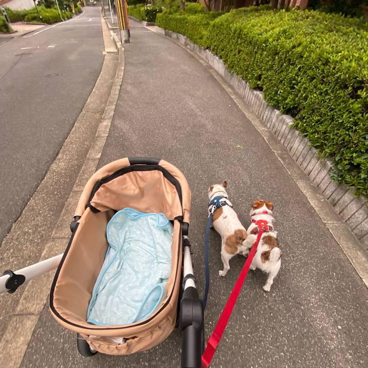 C0f5d73b d57b 4870 ade4 3e3064dfdc14 1656206283891