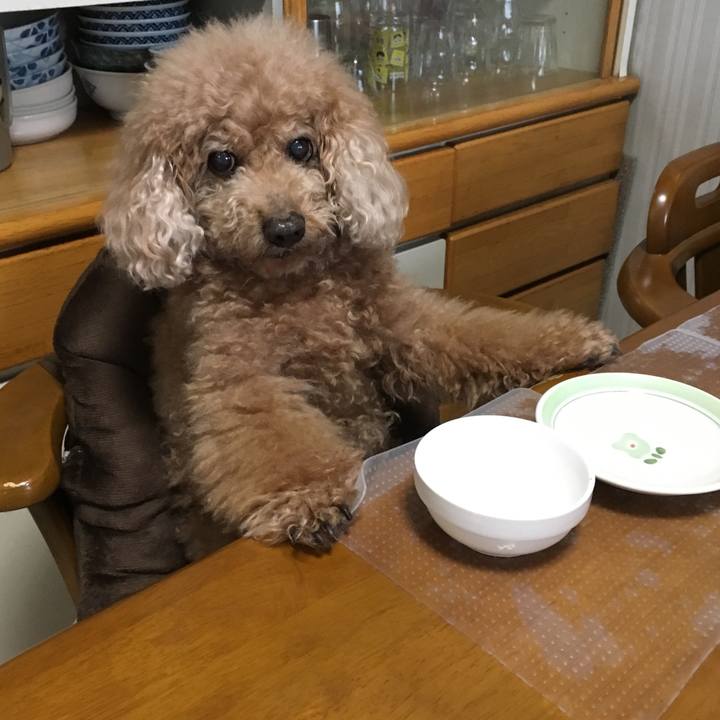 C0f5e740 083f 4bdd 88d1 034893cf1d07 1523226517598