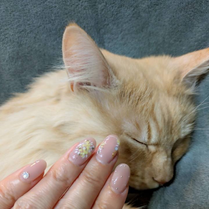 C0f606fa d99a 4a19 9bd3 c2ace4366d02 1770342269923